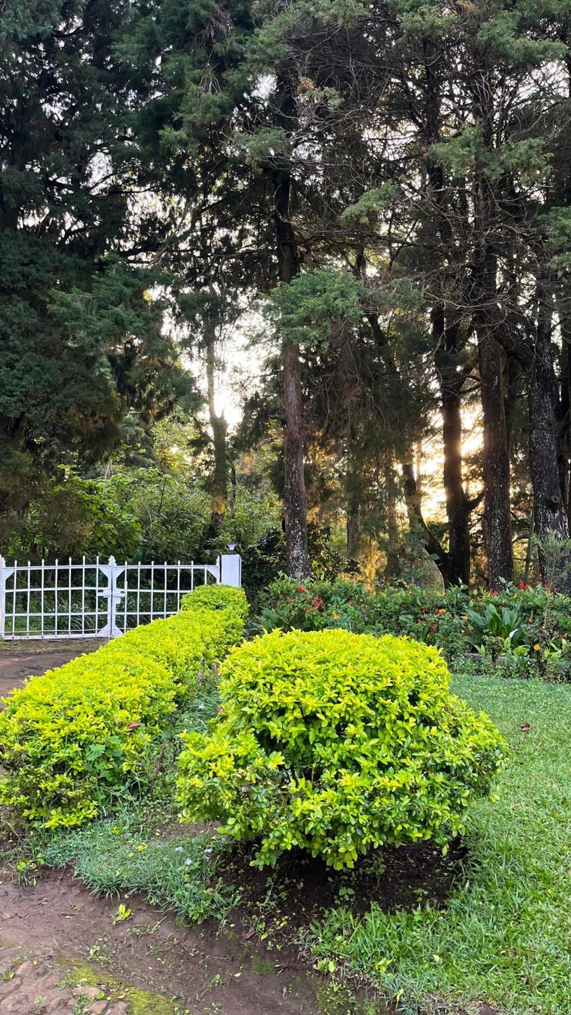 Tentgram Planters Bungalow Suryanelli Bagian luar foto